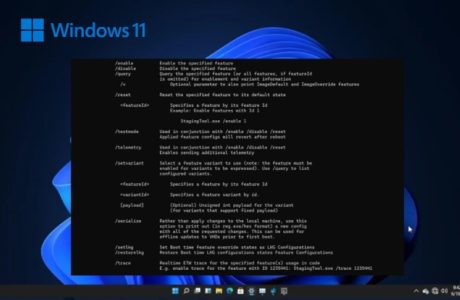 Staging tool-Unlocking Hidden Windows 11 Features