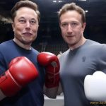 Zuck v Musk fight