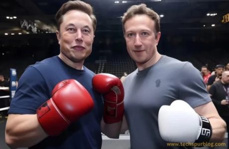 Zuck v Musk fight